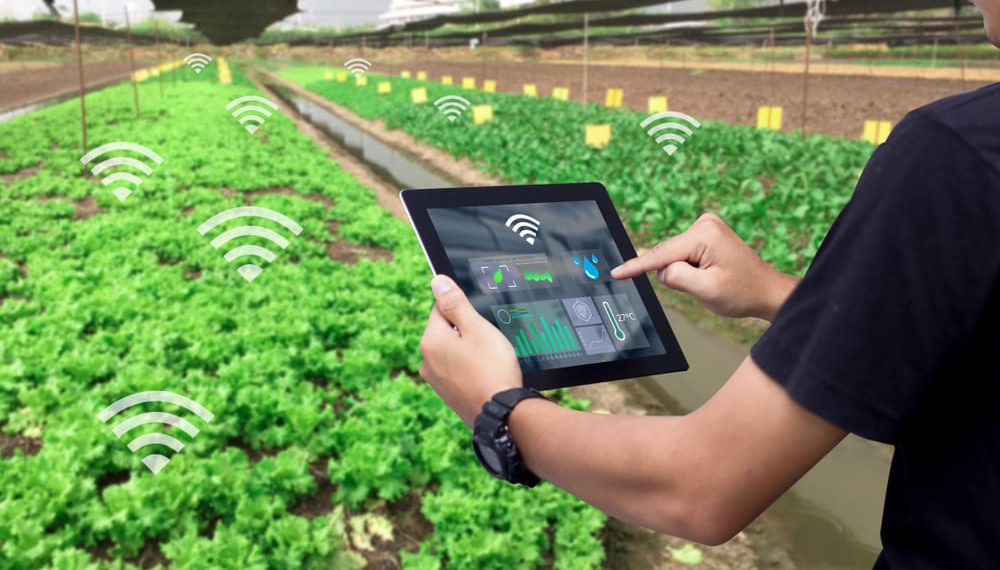 Smart Farming Technology